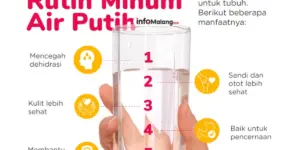 Manfaat Minum Air Putih yang Cukup untuk Kesehatan Tubuh