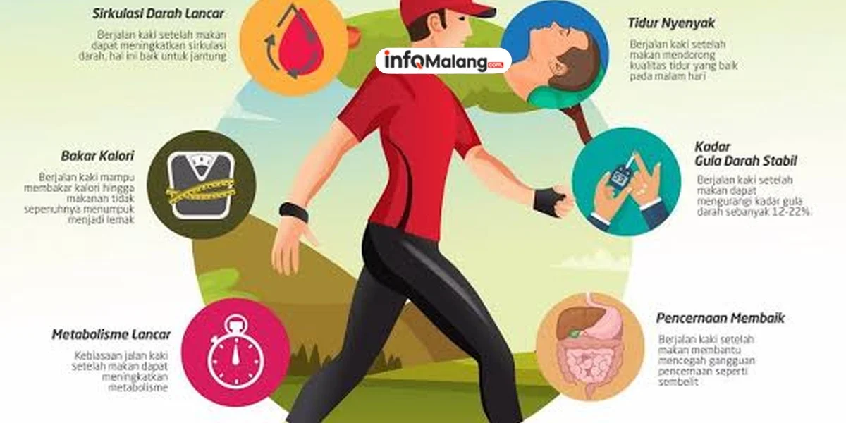 Manfaat Olahraga Jalan Kaki 30 Menit Setiap Hari untuk Kesehatan