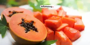 Manfaat Pepaya Bagi Kesehatan Penjelasan Lengkap untuk Tubuh Lebih Sehat