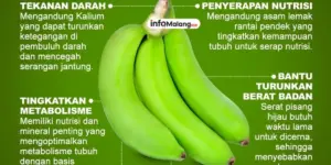 Manfaat Pisang untuk Kesehatan yang Perlu Diketahui