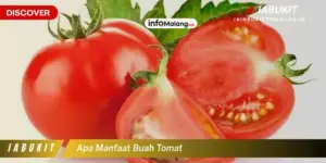Manfaat Tomat untuk Kesehatan Tubuh, Rahasia Buah Merah yang Menyegarkan