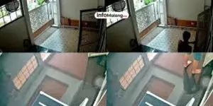 Mayat Mutilasi di Bagasi Tesla D4vd, Remaja Perempuan Berusia 15 Tahun Gegerkan Publik