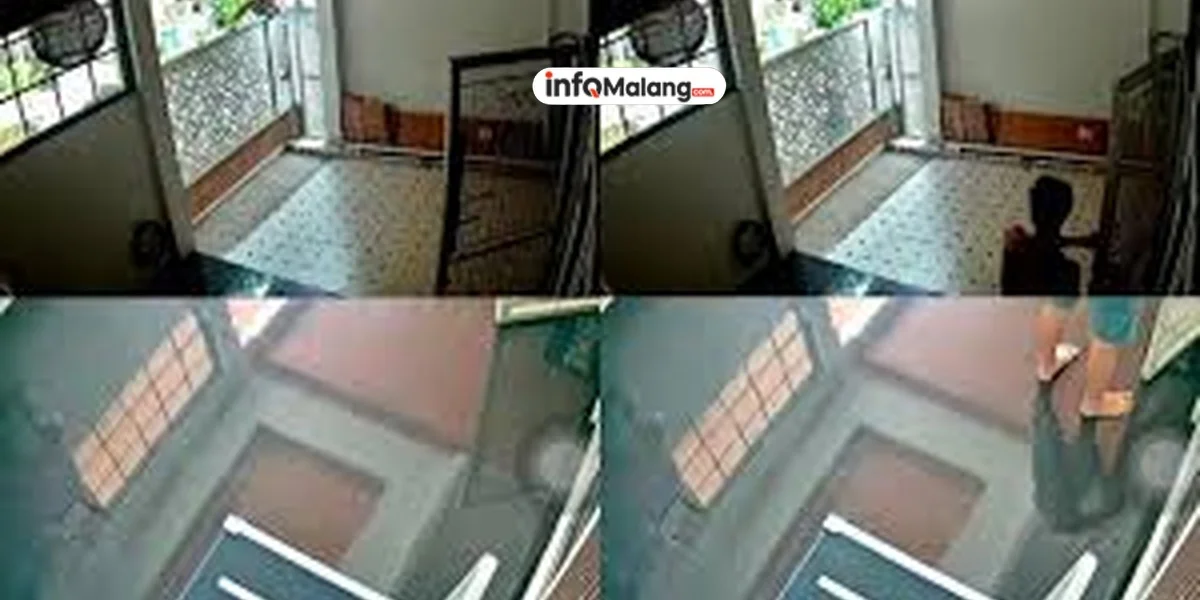 Mayat Mutilasi di Bagasi Tesla D4vd, Remaja Perempuan Berusia 15 Tahun Gegerkan Publik