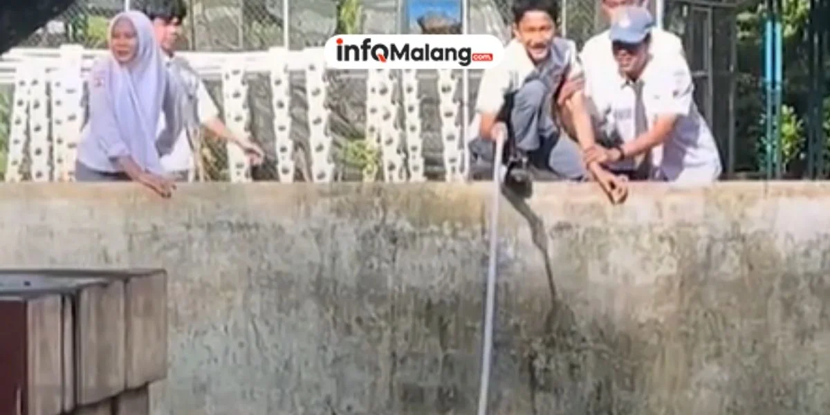 Melihat Kucing Terjebak, Para Siswa SMA Ini Langsung Turun Tangan Menyelamatkan