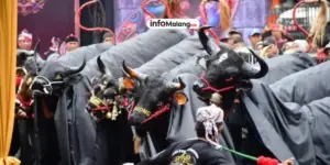 Mengapa Budaya Bantengan di Malang Harus Tetap Dilestarikan?