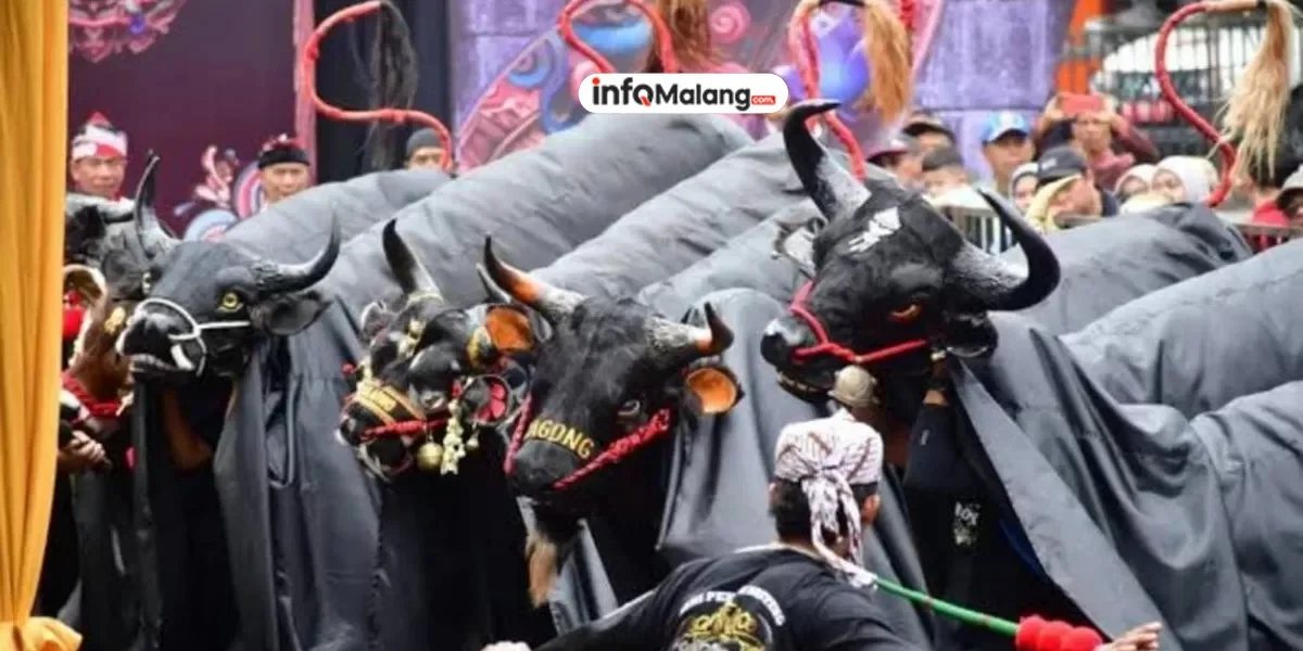 Mengapa Budaya Bantengan di Malang Harus Tetap Dilestarikan?