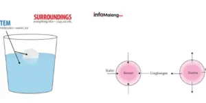 Mengapa Reaksi Kimia Melepaskan dan Menyerap Energi? Yuk Belajar Termokimia!