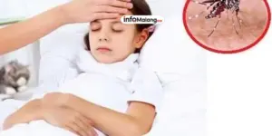 Mengenal Gejala Demam Berdarah, Penyebab, dan Cara Pencegahannya