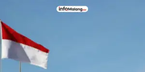 Mengurai Power Negara, Apa Itu Pemerintahan, Fungsi Krusial, dan Tiga Pilar Kekuasaan yang Wajib Diketahui