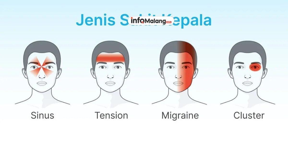 Migrain Penyebab, Gejala, dan Cara Mengurangi Serangan Sakit Kepala Berat