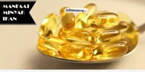 Minyak Ikan dan Manfaatnya bagi Kesehatan