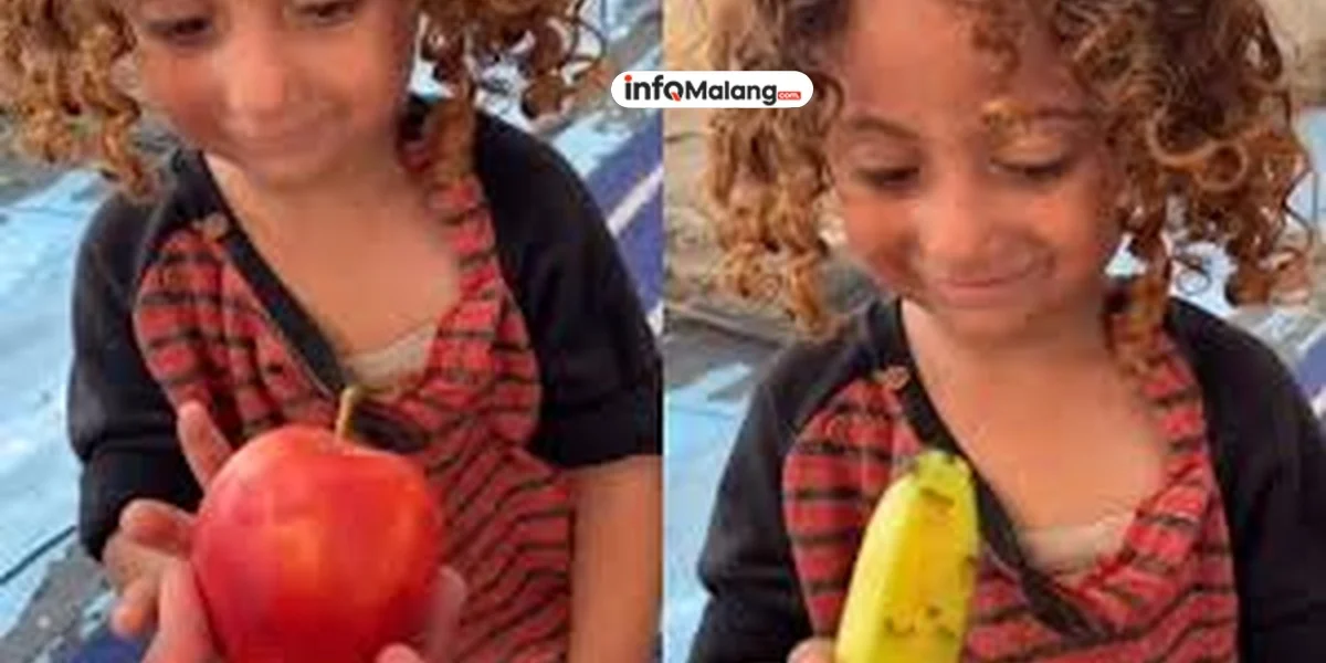 Momen Haru Ayah Ini Bawa Buah yang Lama Tidak Dilihat Anaknya Sejak Blokade Gaza