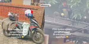 Momen Lucu Tukang Paket Bantuin Ibu-Ibu yang Lagi Ngidam Metik Mangga di Atap Rumahnya