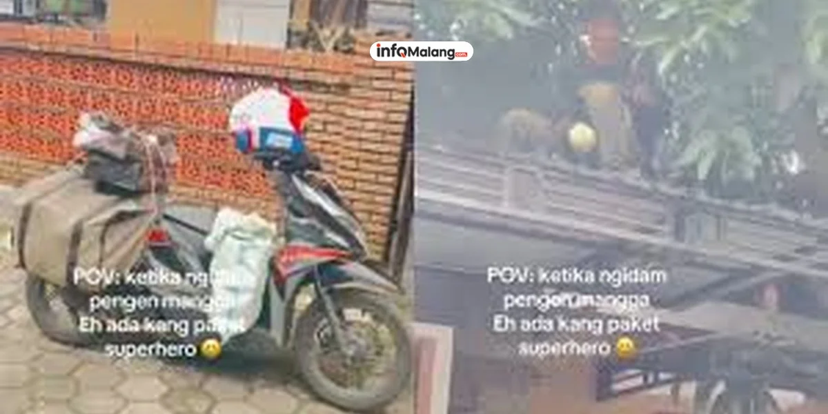 Momen Lucu Tukang Paket Bantuin Ibu-Ibu yang Lagi Ngidam Metik Mangga di Atap Rumahnya