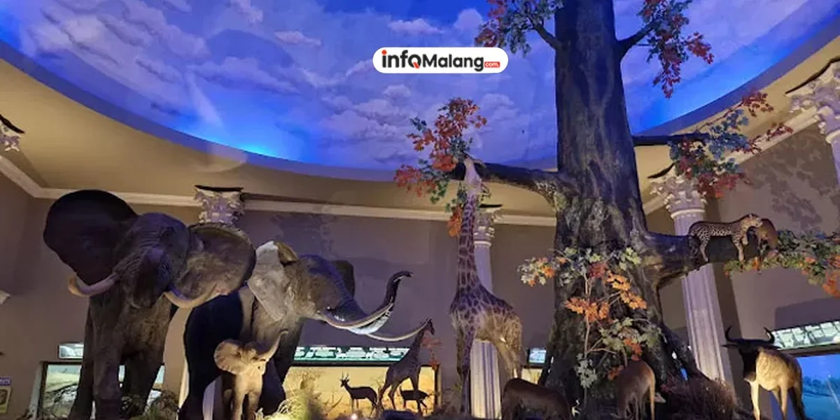 Museum Satwa Batu, Destinasi Edukatif untuk Liburan Keluarga