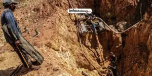 Naiknya Royalti Timah Bikin Investor Kabur?