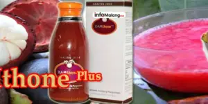 Nico Agustino Chandra, Mantan Sales Oli yang Sukses Merintis Bisnis Plumbing Canggih di Indonesia