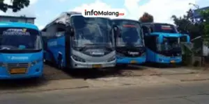 Nyaman Tanpa Was-Was! 5 Tips Memilih Bus Pariwisata Malang dengan Standar Keamanan dan Fasilitas Terbaik