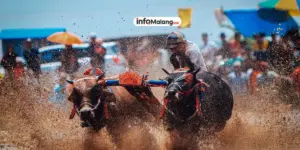 Olahraga Tradisional Malang yang Masih Bertahan hingga Kini