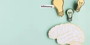 Otak Sehat, Pikiran Tajam: Hindari 5 Makanan Perusak Fungsi Otak