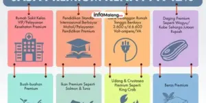 PPN 12% Akan Dikenakan pada Beras Premium dan Daging Wagyu, Begini Dampaknya