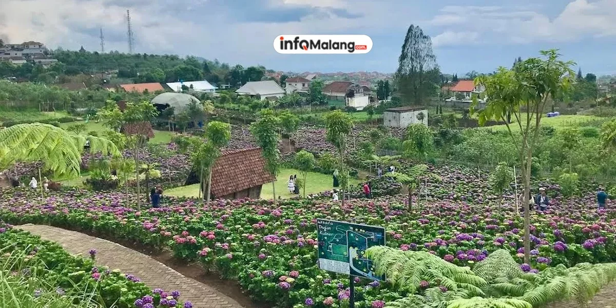 Pecinta Bunga Wajib Tahu! 3 Taman Terindah di Malang Raya yang Instagramable Abis
