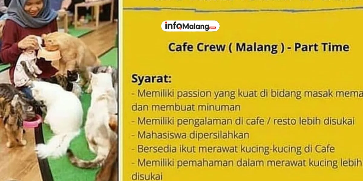Pekerjaan Freelance Khusus Mahasiswa di Malang