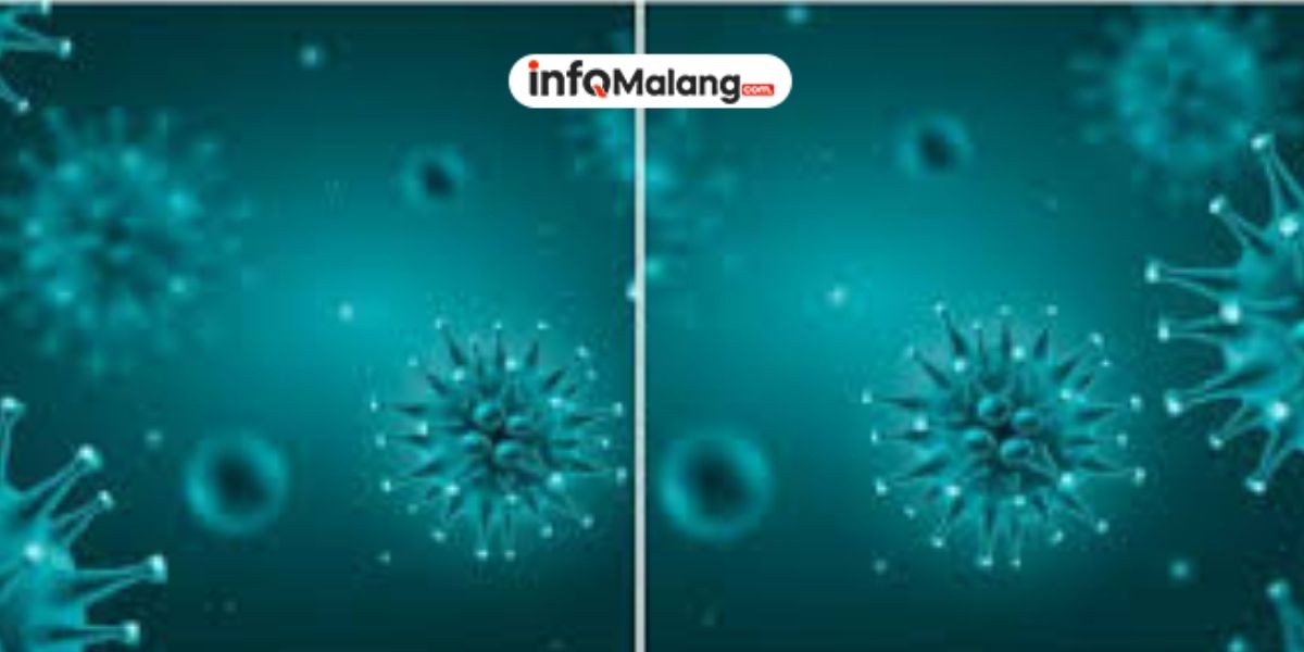 Pemicu Meningkatnya Wabah Penyakit yang Sering Diabaikan