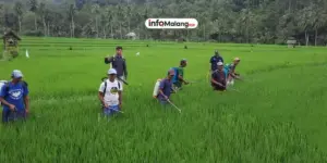 Pemkab Malang Beri Bantuan Pompa Air untuk Antisipasi Gagal Panen