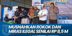 Pemkab Malang Musnahkan 17 Ribu Batang Rokok Ilegal Bersama Bea Cukai