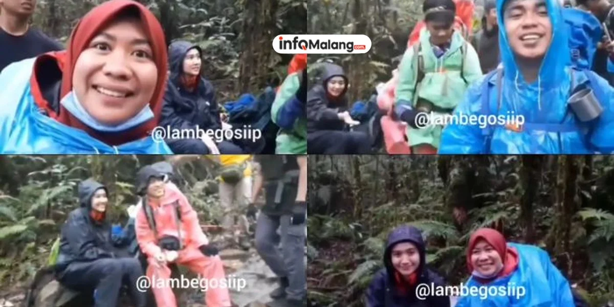 Pendaki ini Takjub Melihat Kuda Liar di Gunung Babnain NTT: Serasa di Negeri Dongeng