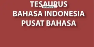 Penemuan Mayat Bayi dalam Karung Gegerkan Lubang Buaya, Polisi Kejar Pelaku