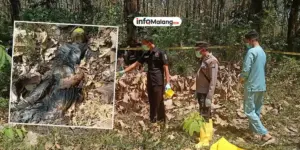 Penemuan Mayat Membusuk di Kolong Warung Gegerkan Warga Junrejo, Kota Batu