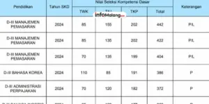 Pengumuman Hasil SKD CPNS Kementerian PPPA 2024 Segera Tiba