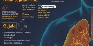 Penyakit TBC (Tuberkulosis) Gejala, Pengobatan, dan Pencegahan