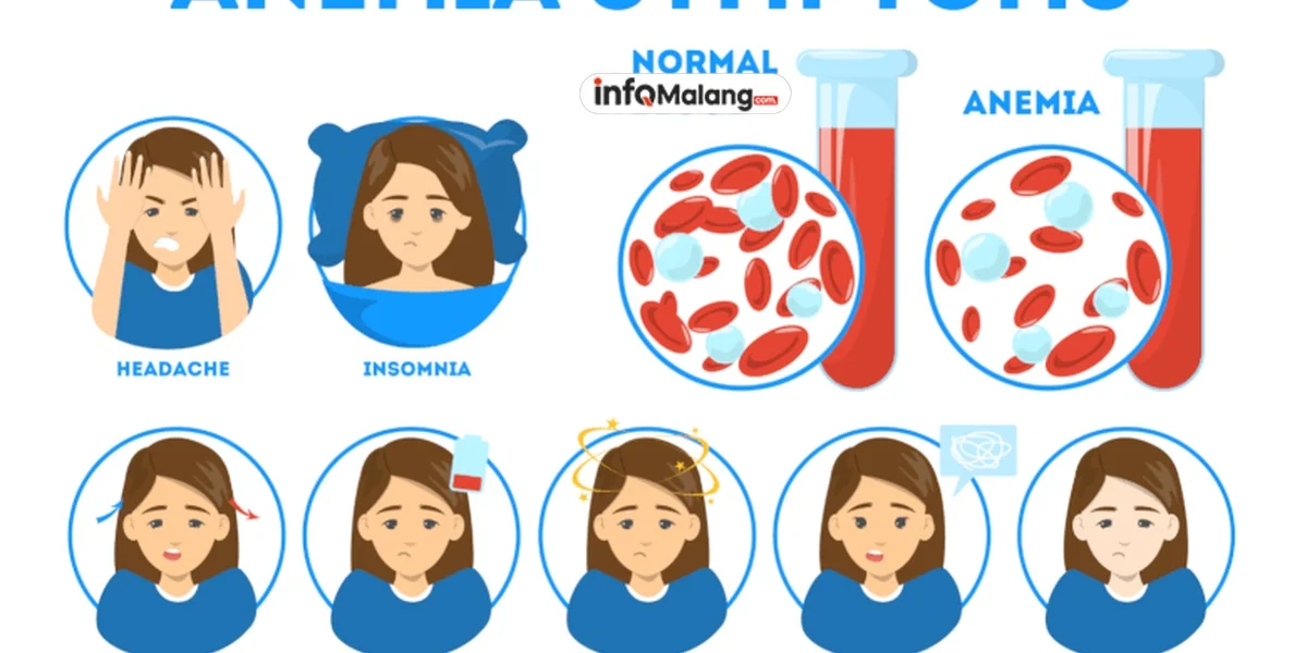 Penyebab dan Gejala Anemia serta Rekomendasi Nutrisi untuk Mengatasinya