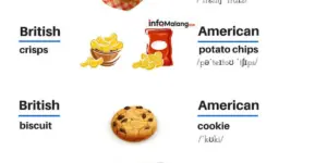 Perbedaan British English dan American English yang Perlu Kamu Tahu