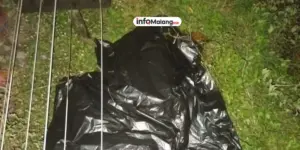 Perempuan Muda Tewas Tertabrak Kereta di Jalur Pakisaji