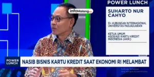 Pertumbuhan Kartu Kredit Tersendat: Sinyal Ekonomi Melemah?