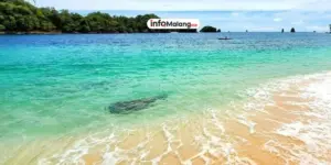 Pesona Alam Pantai 3 Warna Malang yang Instagramable