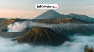 Pesona Gunung Bromo, Keindahan Alam Ikonik Jawa Timur yang Mendunia