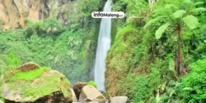 Pesona Kebun Bunga di Wisata Air Terjun Coban Talun, Batu