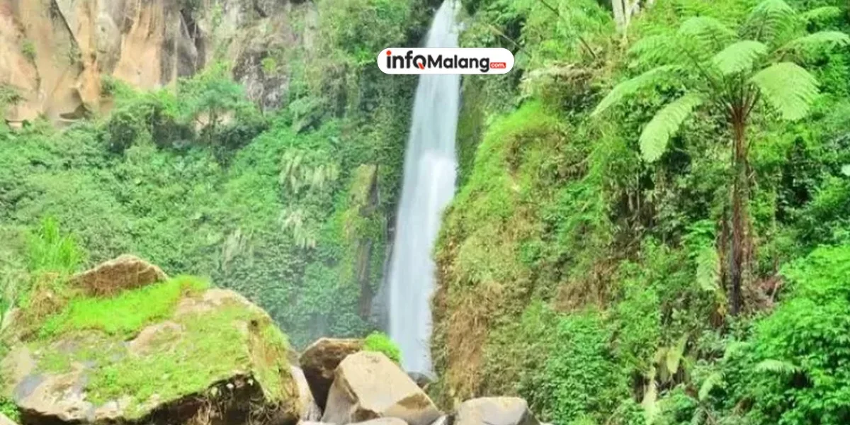 Pesona Kebun Bunga di Wisata Air Terjun Coban Talun, Batu