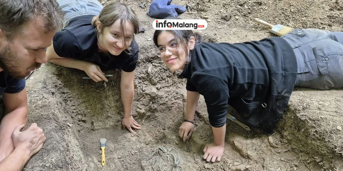 Petani Miskin Temukan Harta Karun! 16 Kg Emas Mengguncang Desa!