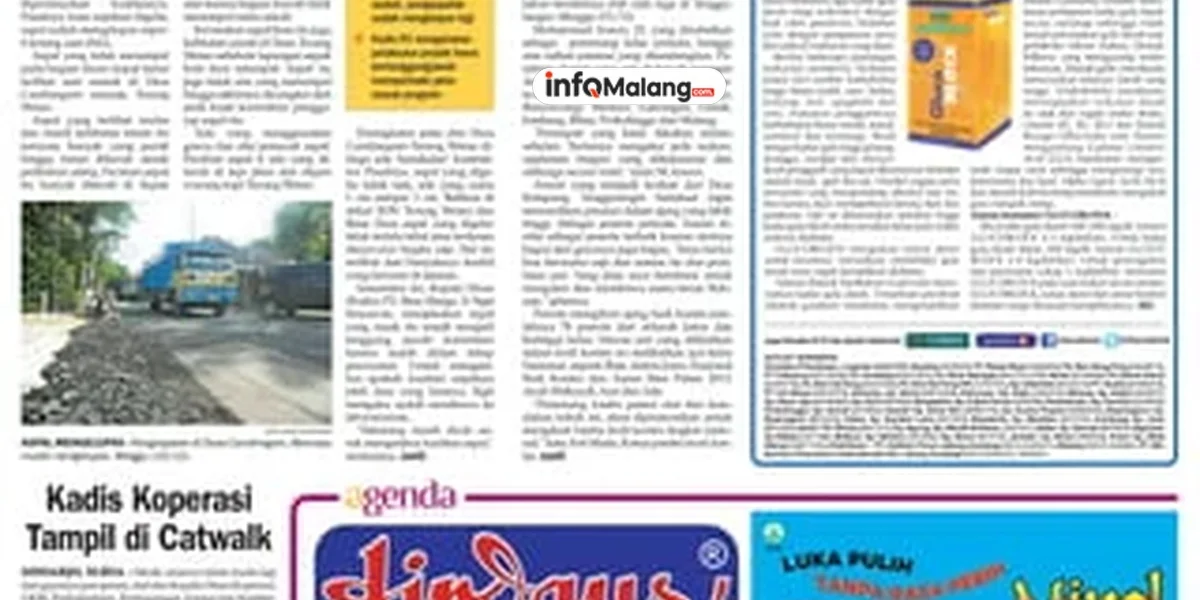 Pohon Trembesi Tumbang di Stasiun Kota Baru, Tera Bangunan Warung dan Kendaraan Rusak