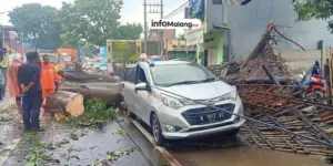 Pohon Tumbang Timpa Mobil di Gondanglegi Malang Akibat Angin Kencang