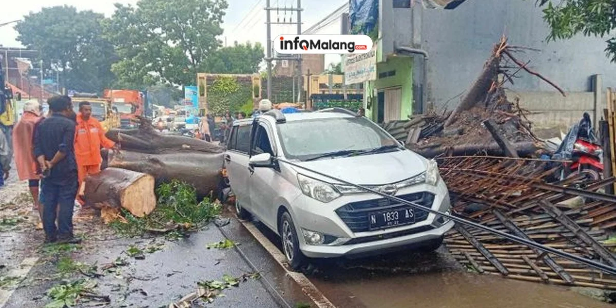 Pohon Tumbang Timpa Mobil di Gondanglegi Malang Akibat Angin Kencang