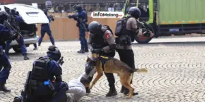 Polresta Malang Kota Terjunkan Anjing Pelacak K9 di Pilkada 2024