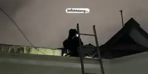 Pria Ini Panjat Pagar Demi Kunci Pintu Tetangganya, Bikin Salut Netizen