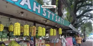 Produksi Apel di Malang Alami Penurunan Drastis